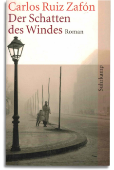 der schatten des windes
